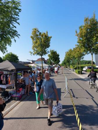 Emelkoen bruist  38 - Reuze Rommelmarkt met Boeken-, Vinyl- en CD‑Beurs in Humelgem 